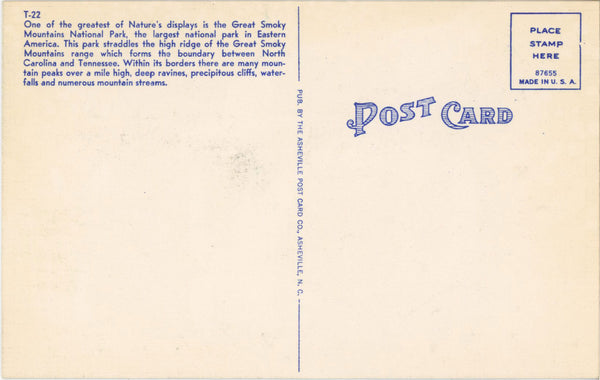 Ramsey Cascades Smoky Mountains National Park Vintage Postcard (unposted)