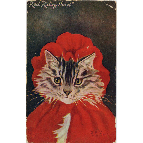 Red Riding Hood Dressed Grey Cat Vintage Postcard signed Barnes 1908