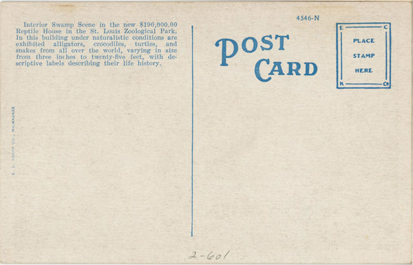 St. Louis Zoo Reptile House Interior Forest Park Missouri Vintage Postcard c. 1920s (unused)