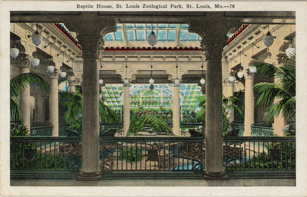 St. Louis Zoo Reptile House Interior Forest Park Missouri Vintage Postcard c. 1920s (unused)