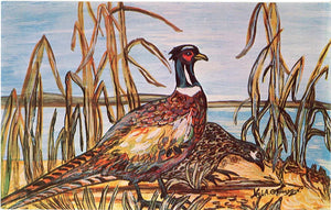 Ring-necked Pheasants by Lake Vintage Bird Postcard Signed Nyla Thompson - Vintage Postcard Boutique