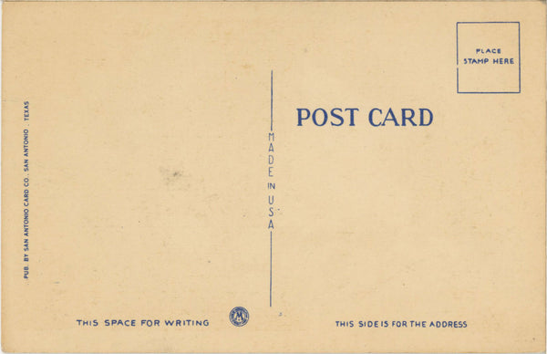 Ripe Figs in the South Vintage Botanical Postcard 1940s (unposted)
