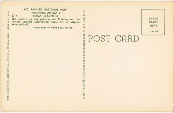 Alpine Road to Sunrise Rainier National Park Washington Vintage Postcard c. 1950s