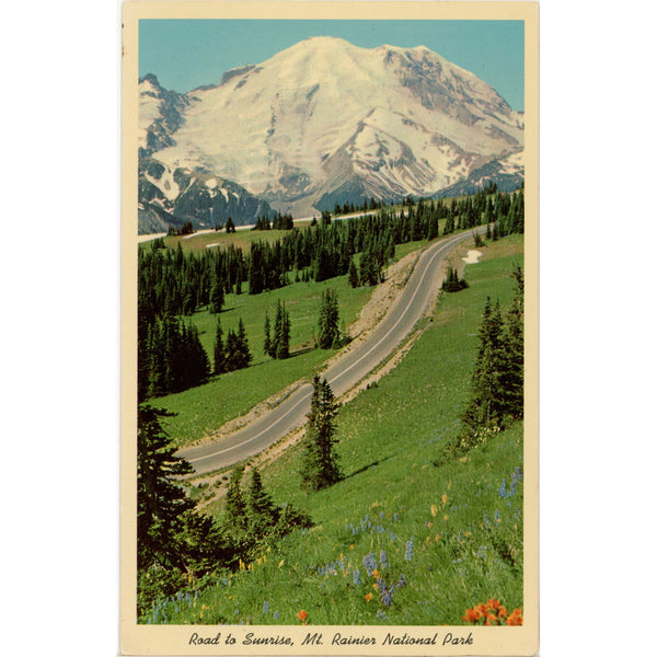 Alpine Road to Sunrise Rainier National Park Washington Vintage Postcard c. 1950s