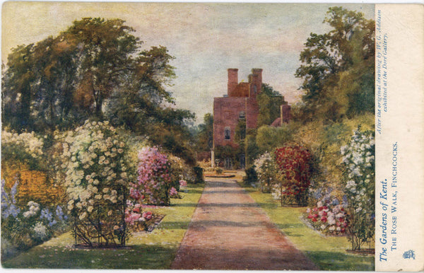 Vintage Tuck's Oilette Postcard Gardens of Kent Botanical 1910s