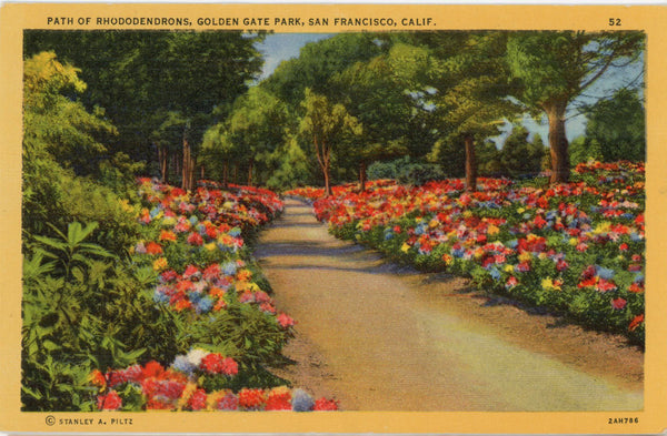 San Francisco Golden Gate Park Rhododendrons California Vintage Postcard (unposted)