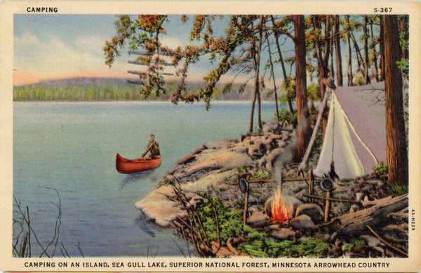 Minnesota Arrowhead Country Sea Gull Lake Vintage Postcard 1938