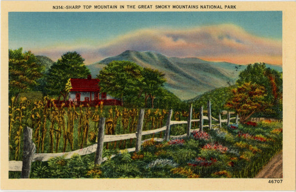 Sharp Top Mountain Smoky Mountains National Park Vintage Postcard (unposted)