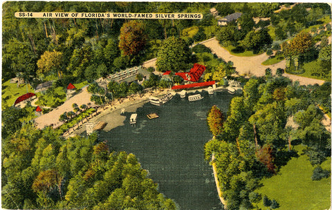 Silver Springs Florida Aerial View Vintage Postcard 1948