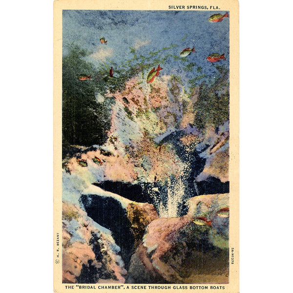 Silver Springs Florida Fish & Bridal Chamber Vintage Postcard (unused)