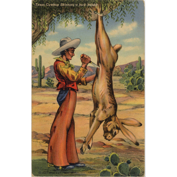 Texas Cowboy Skinning Jack Rabbit Vintage Western Postcard (unposted)