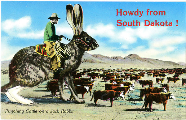 Cattle Punching Cowboy on Jack Rabbit Exaggeration Vintage South Dakota Postcard (unused) - Vintage Postcard Boutique