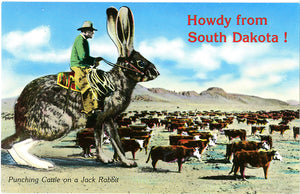 Cattle Punching Cowboy on Jack Rabbit Exaggeration Vintage South Dakota Postcard (unused)