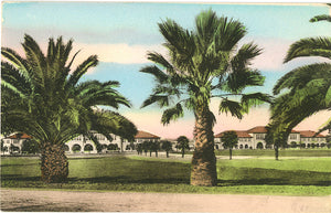 Stanford University California Hand-Colored Vintage Postcard circa 1910 (unused)