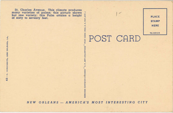 New Orleans Louisiana St. Charles Avenue Palm Trees Vintage Postcard (unposted)