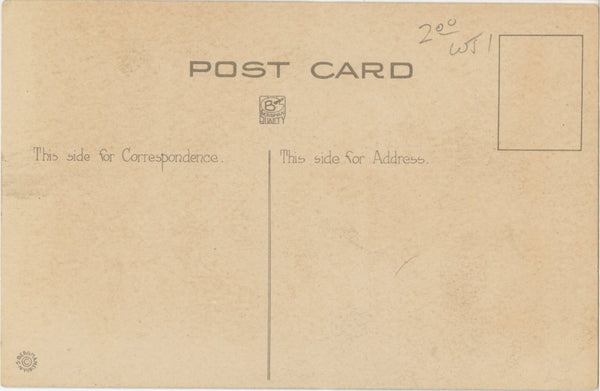 St. Louis I Like the Folks Here Vintage Dog Postcard c 1910s