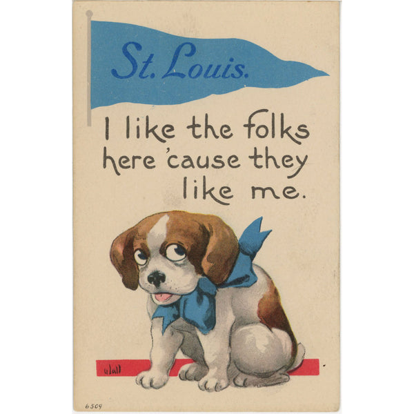 St. Louis I Like the Folks Here Vintage Dog Postcard c 1910s