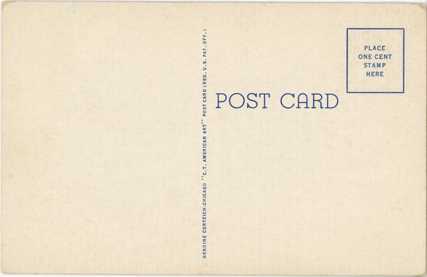 Columbus Nebraska Pawnee Park Swimming Pool Vintage Postcard c. 1920s (unused)