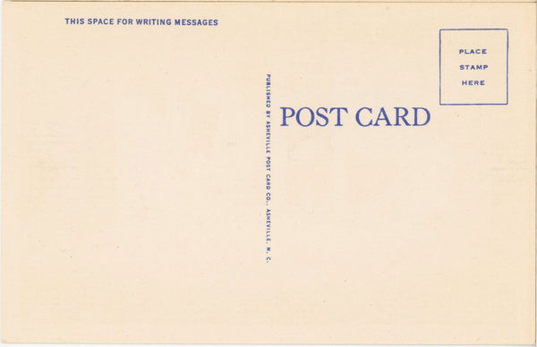 Tennessee 'Volunteer State' Large Letter Vintage Postcard (unused) - Vintage Postcard Boutique