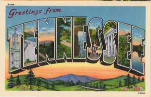 Tennessee 'Volunteer State' Large Letter Vintage Postcard (unused) - Vintage Postcard Boutique