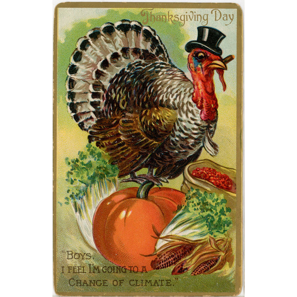 Turkey w/ Cigar Comic Thanksgiving Day TUCK'S Vintage Embossed Postcard 1909