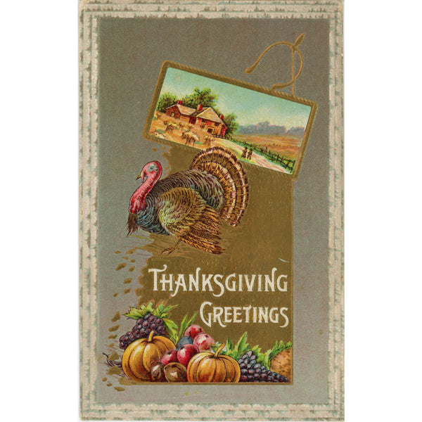 Thanksgiving Greetings Turkey Farm Scene Vintage Embossed Postcard 1911