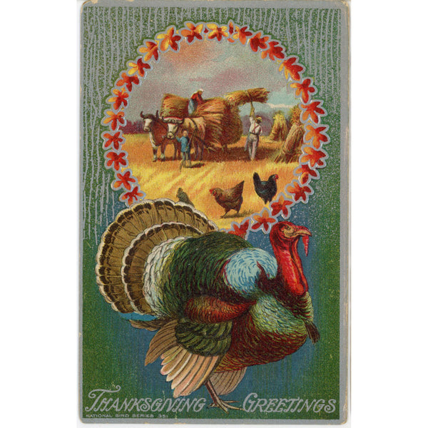 Thanksgiving Greetings Turkey National Bird Series 351 Vintage Embossed Postcard 1910
