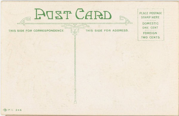 Thanksgiving Joys Turkey Fall Foliage Vintage Embossed Postcard c. 1910 (unposted)
