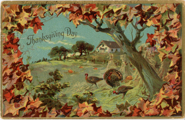 Turkeys & Autumn Leaves Thanksgiving Day TUCK'S Series 123 Vintage Embossed Postcard 1908