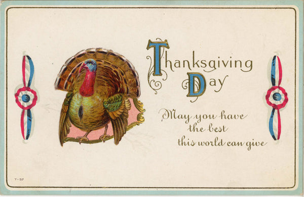 Thanksgiving Turkey Patriotic Ribbons Vintage Embossed Postcard c. 1910 (unposted)
