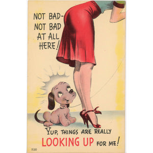 Puppy Looking Up Sexy Lady's Skirt Vintage Comic Postcard (unused) - Vintage Postcard Boutique
