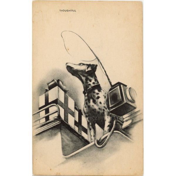 Thoughtful Dalmatian Vintage Dog Postcard c. 1910s