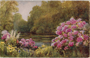 Tuck's Oilette Time of Flowers Botanical Vintage Postcard 1910s (unused) - Vintage Postcard Boutique