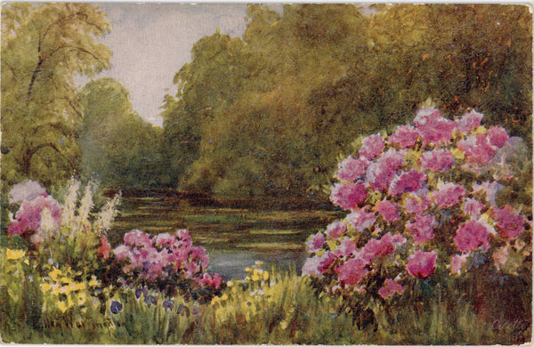 Tuck's Oilette Time of Flowers Botanical Vintage Postcard 1910s (unused)