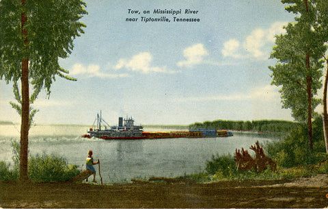Tiptonville Tennessee Towboat on Mississippi River Vintage Postcard (unused)