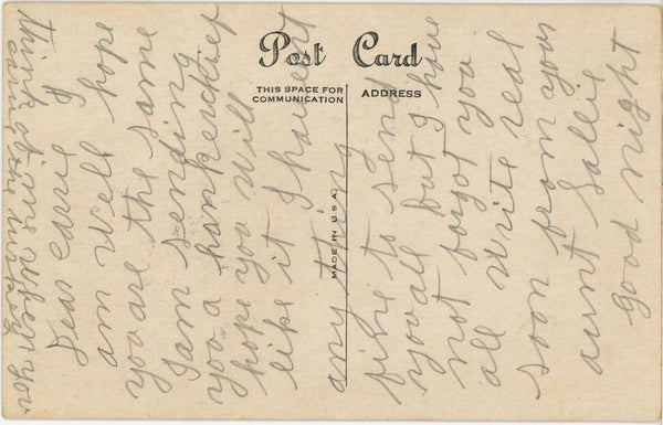 Thanksgiving Turkey Pumpkin Country Scene Vintage Postcard c. 1910