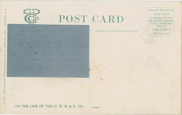 Two Monarchs Mt. Hood & Male Elk Vintage Oregon Postcard c. 1910