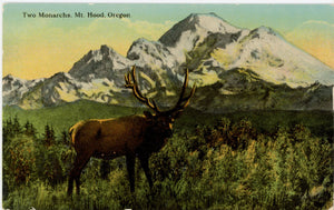 Two Monarchs Mt. Hood & Male Elk Vintage Oregon Postcard c. 1910 - Vintage Postcard Boutique