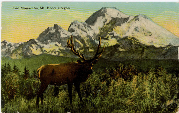 Two Monarchs Mt. Hood & Male Elk Vintage Oregon Postcard c. 1910
