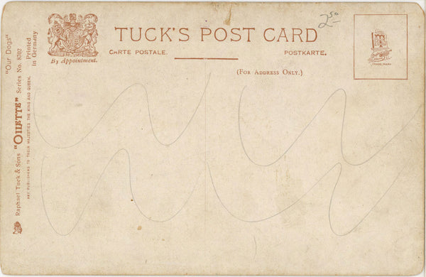 Dachshund & Mastiff Puppies Tuck's Oilette Vintage Dog Postcard c 1910s