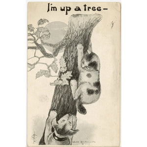 I'm Up A Tree Dog & Cat Vintage Comic Postcard signed PHILLIPS 1911 - Vintage Postcard Boutique