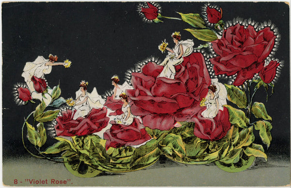 Priests of Pallas Violet Rose Kansas City Missouri Vintage Postcard 1909