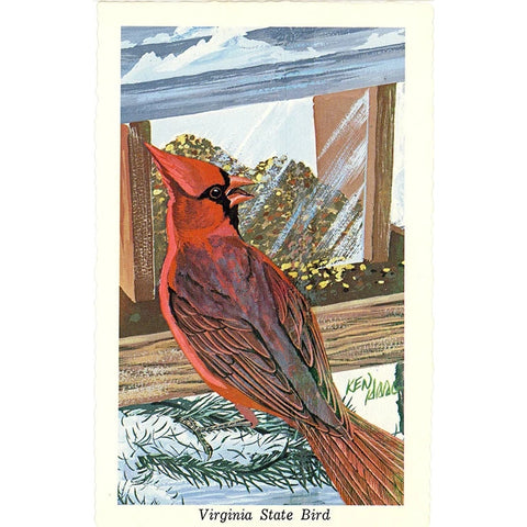 Virginia State Bird - Cardinal Redbird Vintage Postcard Signed Artist Ken Haag (unused)