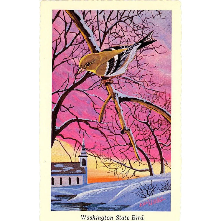 Washington State Bird - Willow Goldfinch Vintage Postcard Signed Artist Ken Haag (unused)