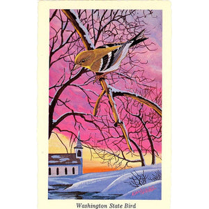Washington State Bird - Willow Goldfinch Vintage Postcard Signed Artist Ken Haag (unused)