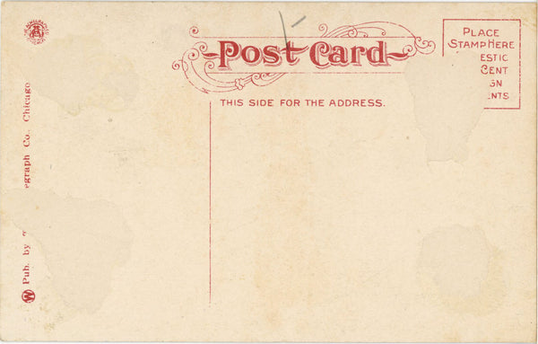 Springfield Illinois Washington Park Boat House Vintage Postcard c. 1910 (unused)