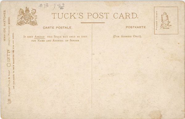 Vintage Tuck's Oilette Postcard Wayside Sketches Series 1910s (unused)