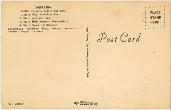 Western Meadowlark Nebraska State Bird Vintage Postcard (unposted)