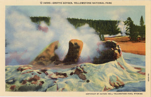 Grotto Geyser Yellowstone National Park Wyoming Vintage Postcard (unused) - Vintage Postcard Boutique