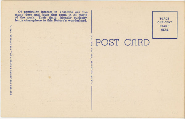Doe Deer Half Dome Yosemite National Park California Vintage Postcard (unposted)